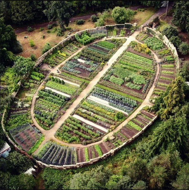 Medicinal food garden on the land