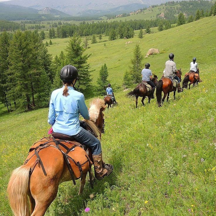 Horse riding on the land